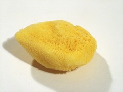Accel Hygan Natural Sponges